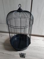 Kooi vogel, Enlèvement, Utilisé, Métal, Cage à oiseaux