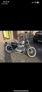 Harley davidson 883, Motoren, Motoren | Harley-Davidson, Particulier, Chopper