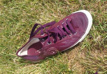 Chaussure basket  beschikbaar voor biedingen