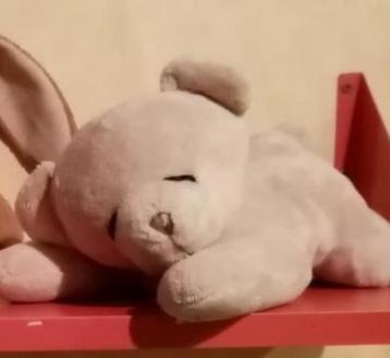 nieuw zachte knuffel , beer 27cm beschikbaar voor biedingen