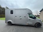 Paardencamionette Renault Master, Dieren en Toebehoren, Paarden en Pony's | Trailers en Aanhangwagens, Ophalen