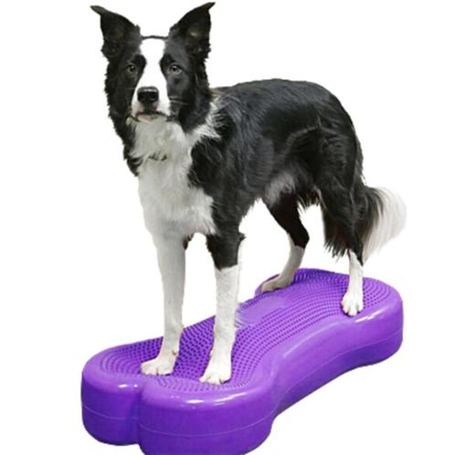 FitPAWS K9FITbone hondentraining, Dieren en Toebehoren, Honden-accessoires, Nieuw, Verzenden