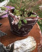 Deco, terracotta pot met bloeiende, winterharde vetplant, Ophalen, Zo goed als nieuw