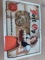 Fort Op Meiresonne, Ophalen of Verzenden