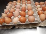 scharrel  eieren buiten loop  te koop, Animaux & Accessoires, Poule ou poulet, Femelle
