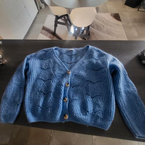 Bellerina maat M., Kleding | Dames, Truien en Vesten, Zo goed als nieuw, Maat 38/40 (M), Ophalen of Verzenden