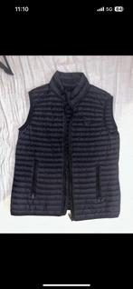 Veste sans manche emporio armani 16 ans, Vêtements | Hommes, Blousons sans Manches, Enlèvement ou Envoi, Neuf, Noir, Emporio Armani