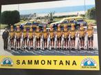 Wielerkaart 1982 team sammontana benotto  argentin, Envoi, Comme neuf