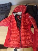 canada goose, Kleding | Dames, Ophalen, Zo goed als nieuw, Maat 42/44 (L), Rood