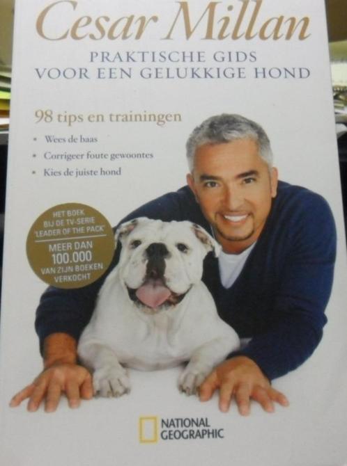 Praktische gids voor een gelukkige hond? Cesar Millan, Livres, Animaux & Animaux domestiques, Comme neuf, Chiens, Enlèvement ou Envoi