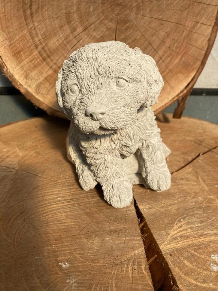 HOND ZITTEND STEEN NIEUW, Antiek en Kunst, Curiosa en Brocante, Ophalen of Verzenden