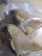 snoep voor honden, Ophalen of Verzenden, Hond