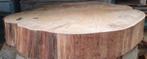 Enorme beuken stam schijf 100cm /110cm diameter 10cm dikte, Ophalen of Verzenden, Beukenhout, Stammen