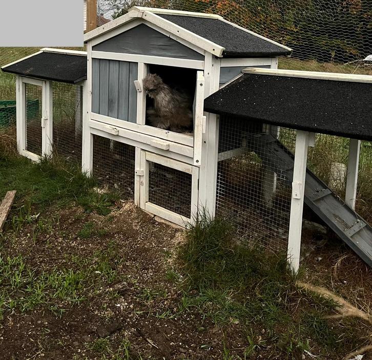 Konijnenhok, Dieren en Toebehoren, Knaagdieren en Konijnen | Hokken en Kooien, Gebruikt, Hok, 60 tot 90 cm, 110 cm of meer, Konijn