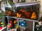 Aquaruimm 2m, Dieren en Toebehoren, Ophalen, Zo goed als nieuw