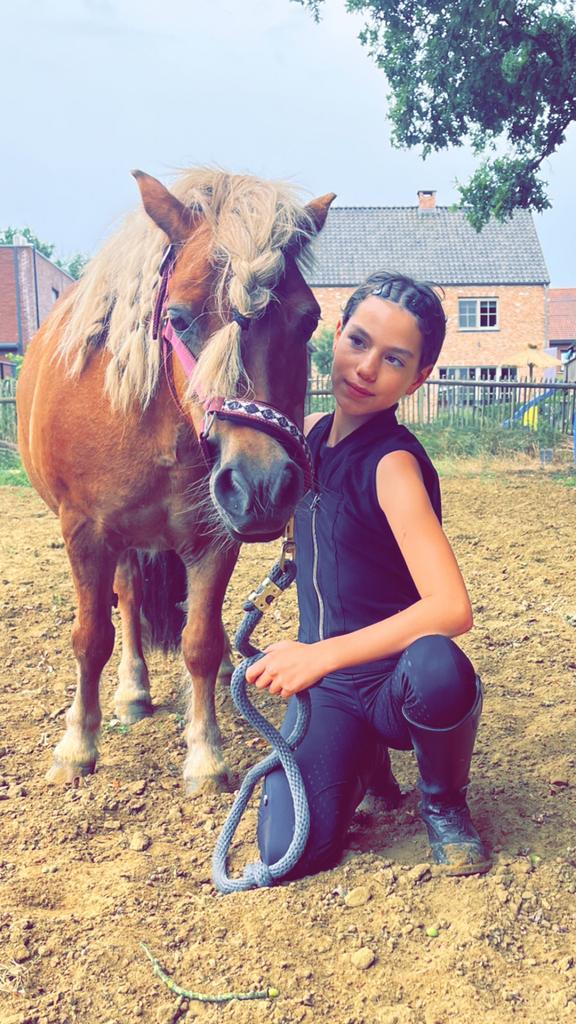 Lesjes aangeboden voor om te kunnen gaan met paarden/ponys, Dieren en Toebehoren, Paarden en Pony's | Verzorgingsproducten, Zo goed als nieuw