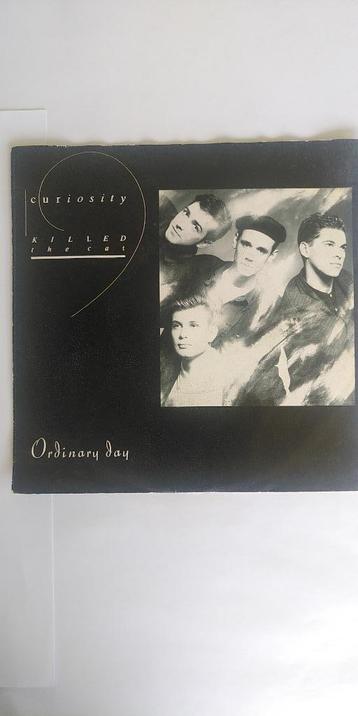 single curiosity killed the cat--ordinary day--- beschikbaar voor biedingen