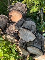Brandhout gratis af te halen in Kalken, Tuin en Terras, Brandhout, Ophalen