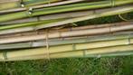 bussel bamboe stokke, Tuin en Terras, Ophalen of Verzenden