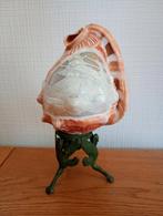 Schelplamp, Verzenden, Zo goed als nieuw, Italiaans, Minder dan 50 cm