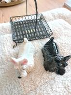 Stenen hondjes zout en peper vat, Ophalen