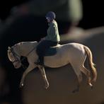 10 jarige merrie, Merrie, Niet van toepassing, Gechipt, 7 tot 10 jaar