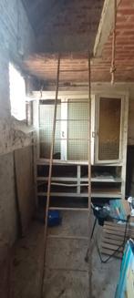 Antieke ijzeren trapladder 10 treden, Ophalen, Gebruikt, Ladder