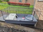 Cage pour rongeur, lapin, cobaye etc, Ophalen, Kooi, Gebruikt, Cavia