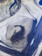 Agamyxis pectiniphrons, Animaux & Accessoires