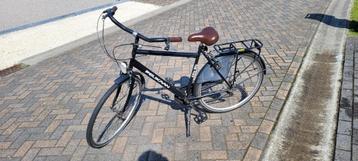 Vélo Pelikan pour homme