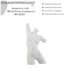 Dames Torso Model Badmode - Lingerie - Sportmode EPG, Overige typen, Wit, Nieuw, Ophalen of Verzenden