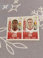 Panini / Sticker / SV Zulte Waregem Women / 2020-2021, Verzenden, Zo goed als nieuw, Poster, Plaatje of Sticker