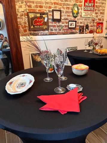 Partytafels,servies(48 pers) geen afwas. beschikbaar voor biedingen