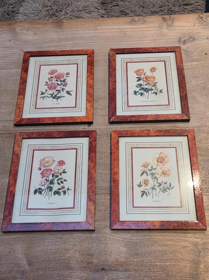 Vintage botanische rozenlithografie - 4 verschillende, Maison & Meubles, Accessoires pour la Maison | Décorations murale, Comme neuf