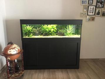 Aquarium beschikbaar voor biedingen