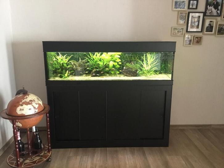 Aquarium, Dieren en Toebehoren, Vissen | Aquaria en Toebehoren, Zo goed als nieuw, Ophalen