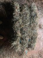 Kleine botjes hooi 4,5 levering mogelijk mits vergoeding, Dieren en Toebehoren, Ophalen