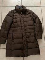 Donsjas Tommy Hilfiger M, bruin bijna nieuw, Kleding | Dames, Jassen | Winter, Ophalen of Verzenden
