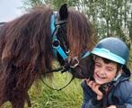 Shetland pony, kinderpony, Zadelmak, Gechipt, Ruin, 3 tot 6 jaar