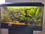 Juwel van 60 liter, Ophalen, Zo goed als nieuw