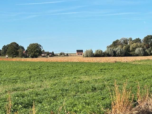 Nieuwbouw woning te huur  GITS, Immo, Maisons à louer, Province de Flandre-Occidentale, Maison individuelle, En direct du propriétaire