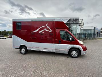 Peugeot boxer 2 chevaux beschikbaar voor biedingen