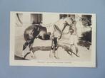 Generaal , een rijpaard van Pater Lievens Indische Priesters, Verzenden, 1940 tot 1960, Ongelopen, Overige thema's