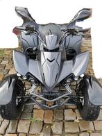 Quad maxxer 300 agrarisch, Motoren, 300 cc, 12 t/m 35 kW