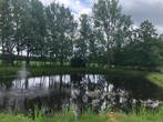 Vijvervissen gezocht voor mooie natuurvijver (koi, steur,…), Karper of Koi