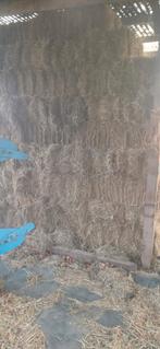 Hooi, Dieren en Toebehoren, Ophalen