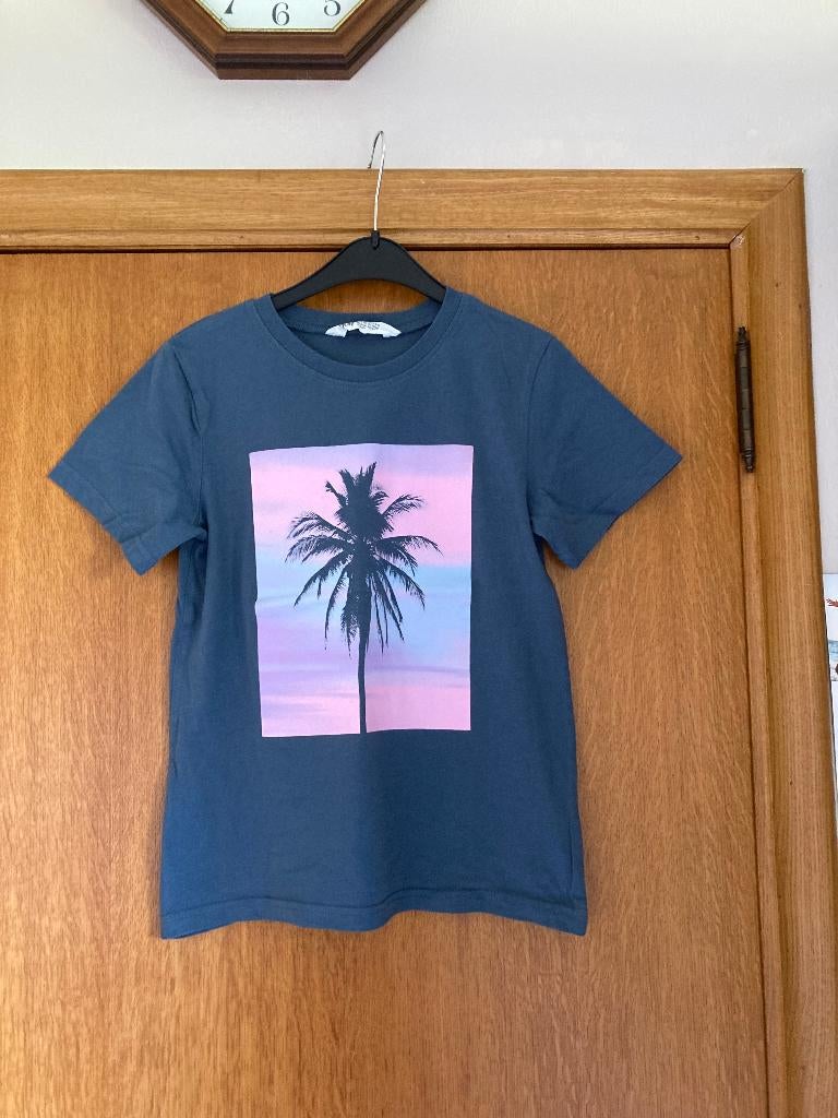 Grijs t-shirt, H&M, maat 134-140, Enfants & Bébés, Vêtements enfant | Taille 134, Garçon, Enlèvement ou Envoi, Chemise ou À manches longues