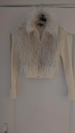 Beige vestje, Kleding | Dames, Ophalen, Zo goed als nieuw, Maat 36 (S), Beige