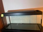 Aquarium 250 litres, Dieren en Toebehoren, Ophalen, Gebruikt, Leeg aquarium