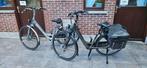 2 Prachtige Elektrische Giant Twist Ease - E Fietsen Te Koop, Ophalen, Zo goed als nieuw, Giant